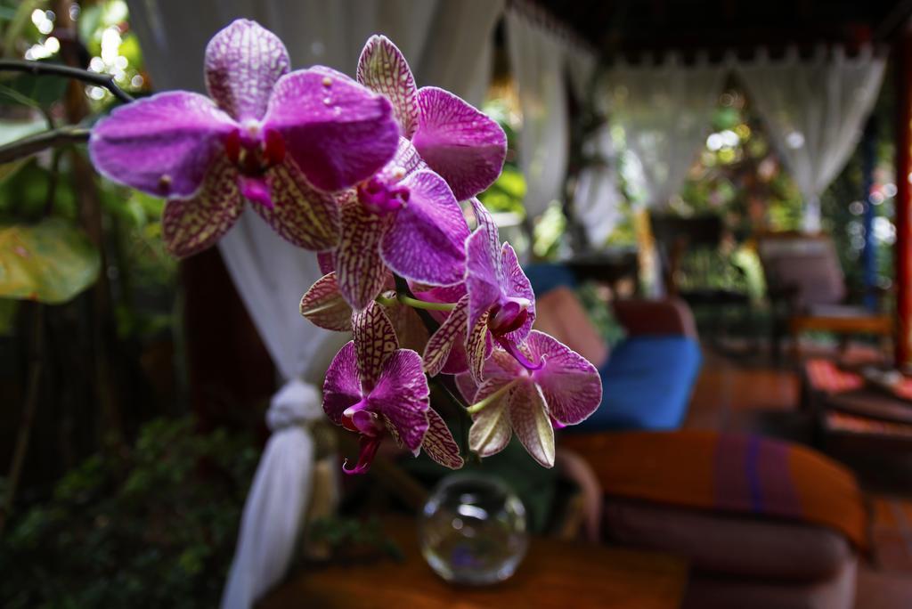 Dazkarizeh73 Villa Ribeira Brava Luaran gambar